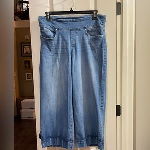 Style and Co Wide Leg Cropped Jeans